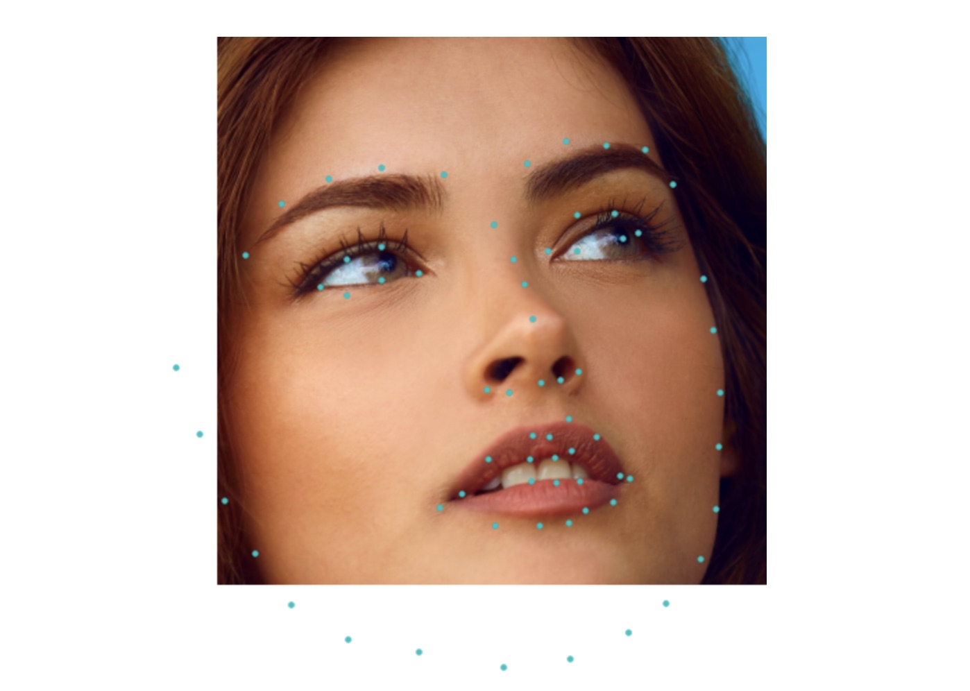 Landmarks Detection on the Cropped Face